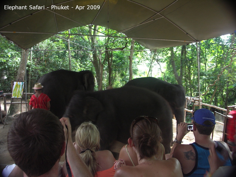 20090417_Half Day Safari - Elephant _39 of 104_.jpg